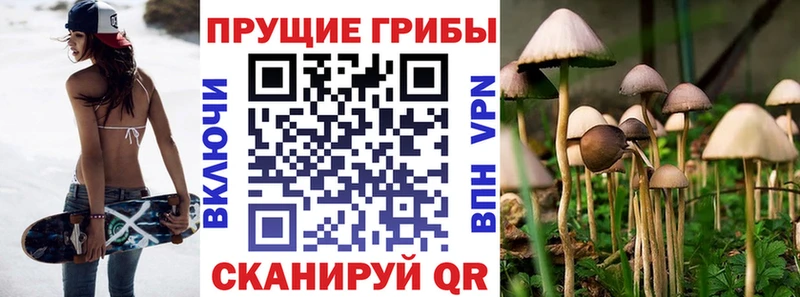 Псилоцибиновые грибы Magic Shrooms Алапаевск